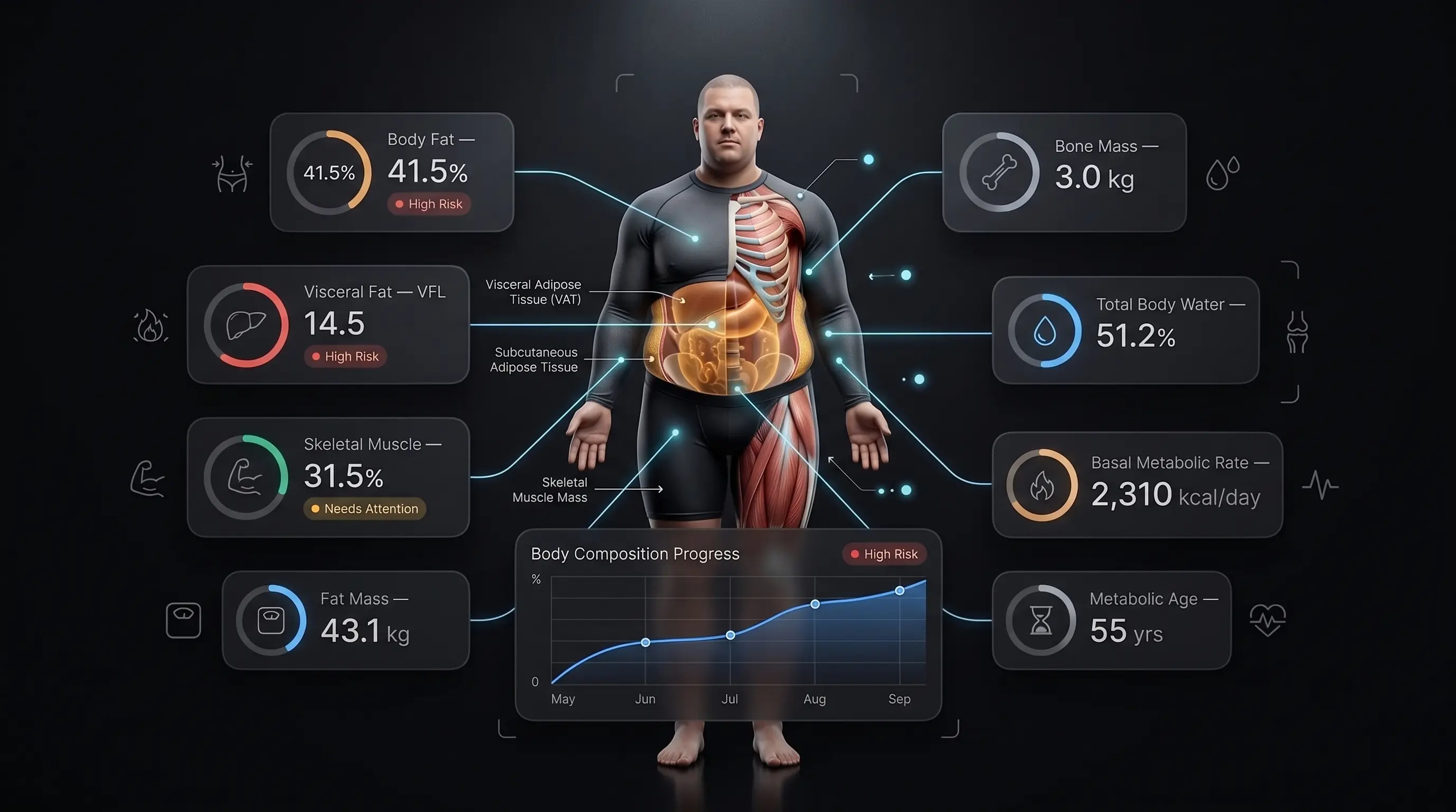 Body composition analysis showing fat mass, muscle mass and visceral fat distribution